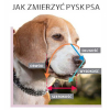 Kaganiec Fizjologiczny Dla Psa Powlekany Dla Owczarka Niemieckiego Suki